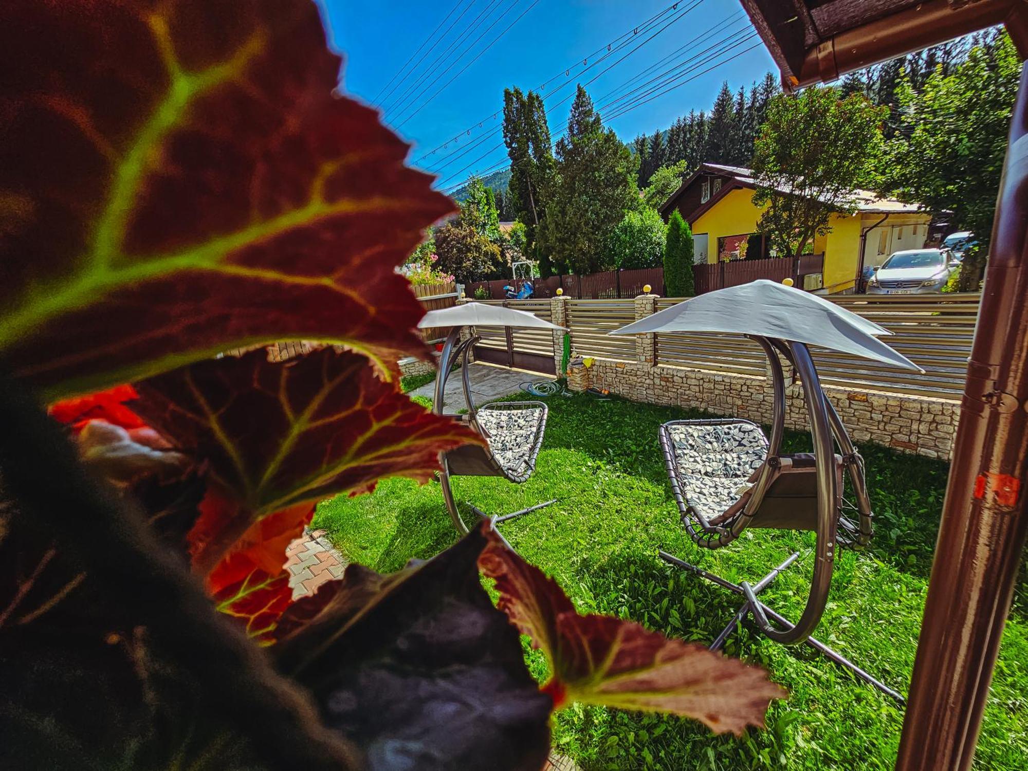 Alpine Bliss Sinaia Hotel ภายนอก รูปภาพ